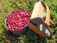 cranberry measure and snap machine4. 9.2013 cranberry measure and snap machine4. 9.2013