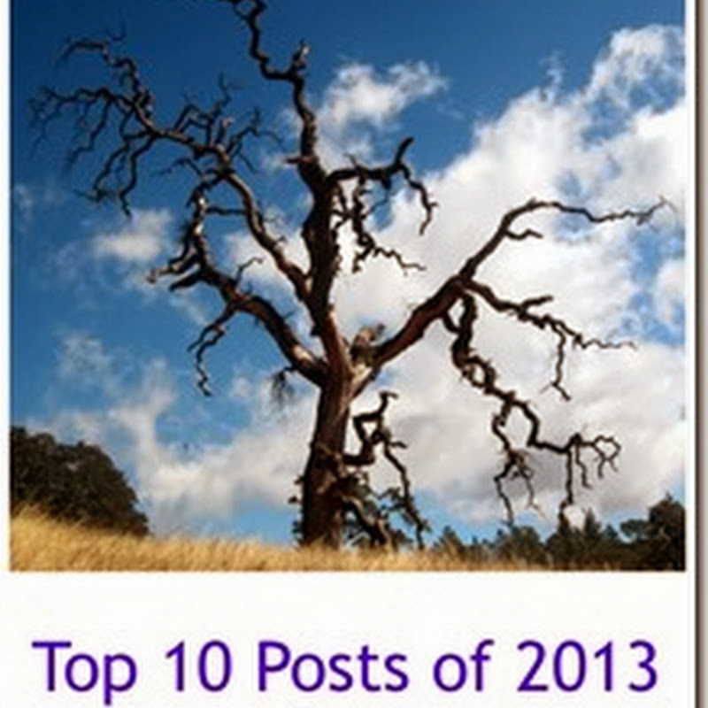 A Year in Review–Top 10 Posts of 2013