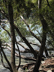 By the lake
