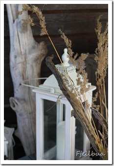 IMG_0304 IMG_0304