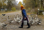 Una mujer lleva un cubo con leche en el pueblo de Bartolomeyevka a 206 millas sureste de Minsk Bielorrusia. Ella se negó a abandonar su pueblo de 1,000 (personas) que fueron evacuadas tras el accidente de Chernobyl. A partir de 2004 sólo habían 10 personas que quedaron en la aldea sin electricidad y agua corriente, 20 de octubre 2004 Una mujer lleva un cubo con leche en el pueblo de Bartolomeyevka a 206 millas sureste de Minsk Bielorrusia. Ella se negó a abandonar su pueblo de 1,000 (personas) que fueron evacuadas tras el accidente de Chernobyl. A partir de 2004 sólo habían 10 personas que quedaron en la aldea sin electricidad y agua corriente, 20 de octubre 2004