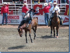 9372 Alberta Calgary - Calgary Stampede 100th Anniversary - Stampede Grandstand - Calgary Stampede Rodeo Novice Bareback Championship