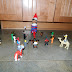 DSCN5670.JPG