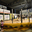 superleite2011_dia1507_202.JPG