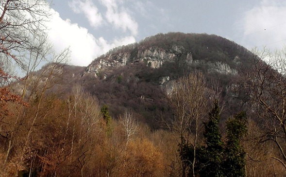 fenera 053
