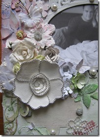 IMG_4915 IMG_4915