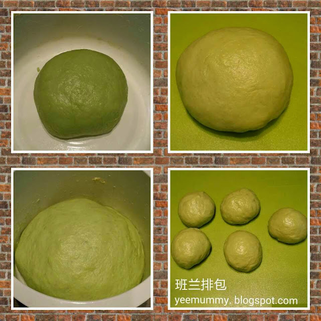 Pandan bread roll 班兰排包 Pandan bread roll 班兰排包