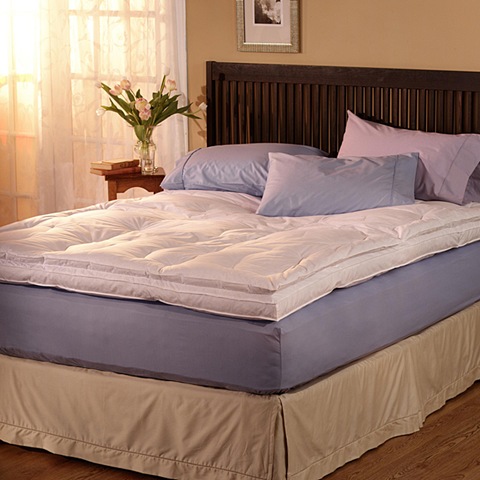 [featherbed%255B1%255D.jpg]