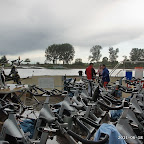 DSC_4469.jpg