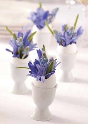 [mmeaster1%255B4%255D.jpg]