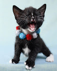Plan ahead to reduce stress and keep fur kids safe. Plan ahead to reduce stress and keep fur kids safe.