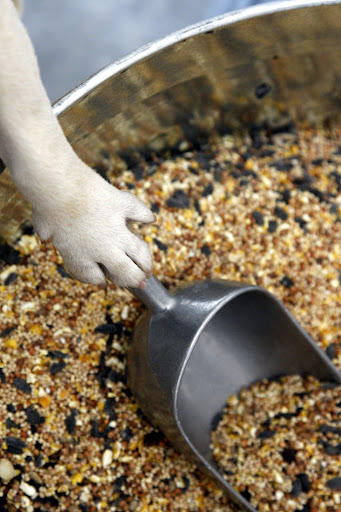 I don't know - this scoop is kind of heavy.