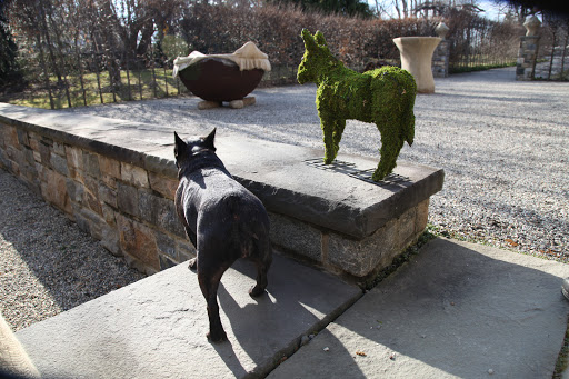 You know what? I can pose like that, too.  Why doesn't someone make a topiary of me?  The art of topiary has been around since Roman times.  What better way to be immortalized?