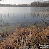 dsc06743.jpg