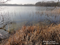 dsc06743.jpg