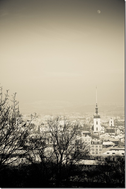 20100127-_MG_9674