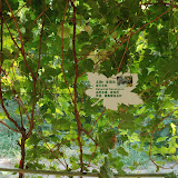 Turfan - Putagou Cabernet