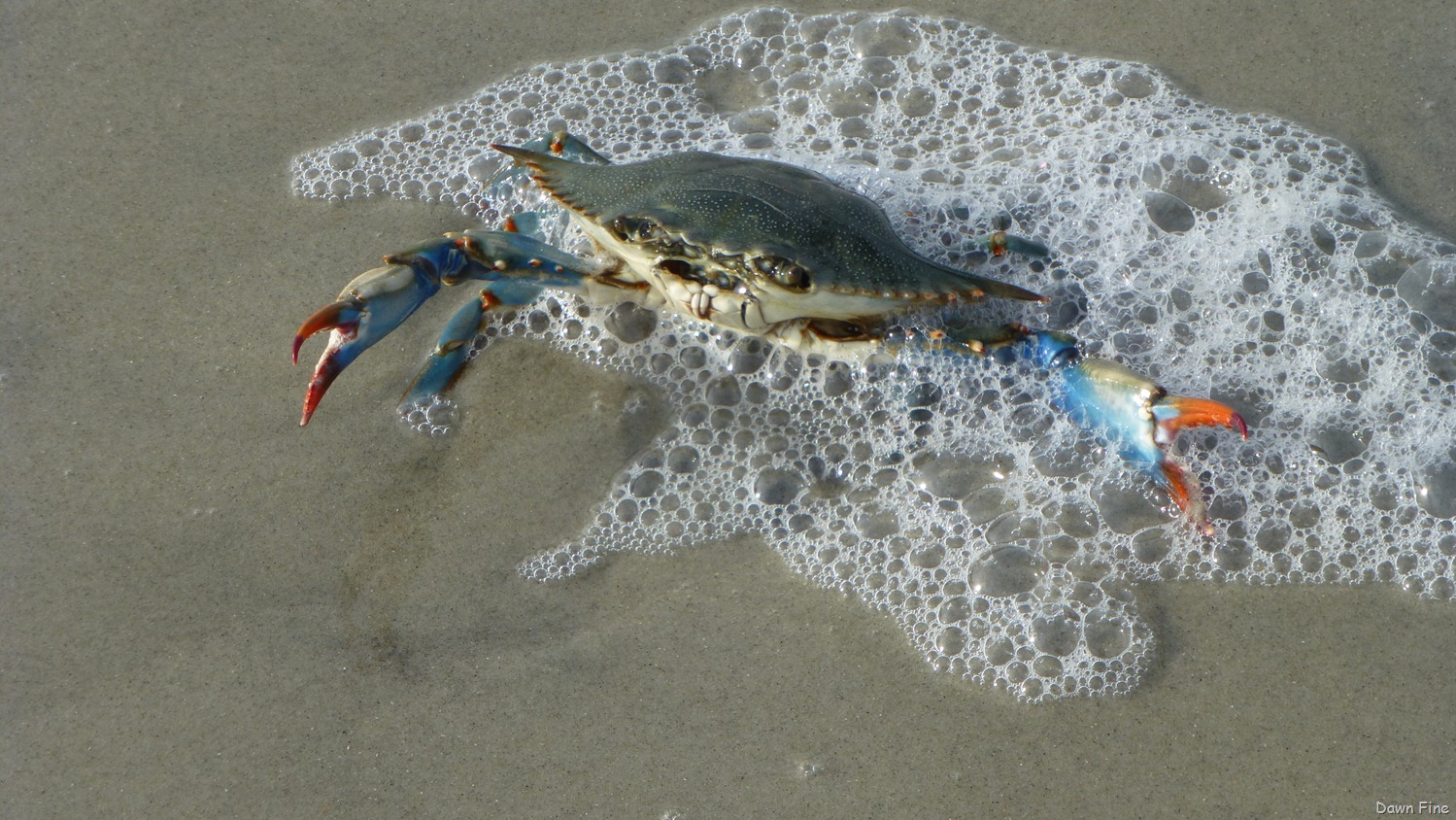 [Huntington%2520Beach%2520SP%2520last%2520photos_032%255B3%255D.jpg]