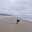 DSC_0202-2.jpg