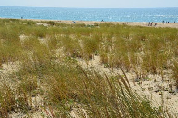 ... dune e spiaggia...