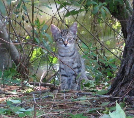 [IMG_8674CROPPED2.jpg]