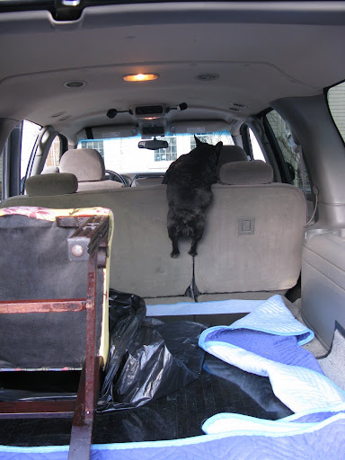 Sharkey!  Would you please jump back here and help us with these chairs?