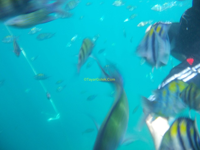 [DSCN26232.jpg]
