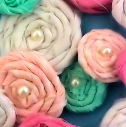 rosettesa rosettesa