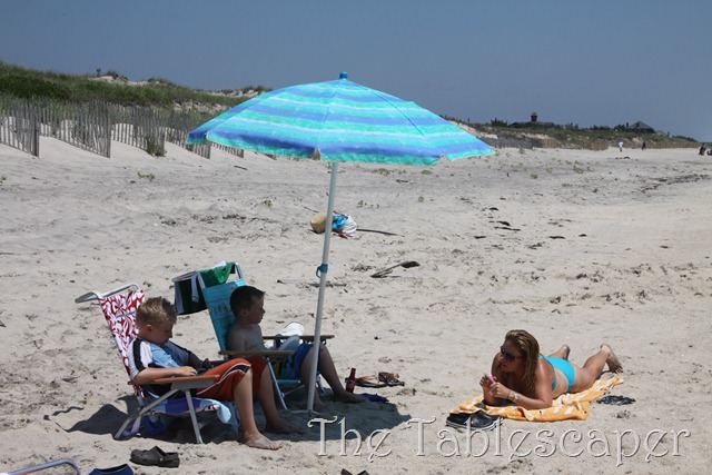 [Hunter%2527s%2520Beach%2520Birthday%2520056%255B3%255D.jpg]