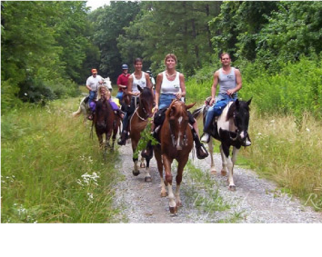 th-paseos-a-caballo-03.jpg th-paseos-a-caballo-03.jpg