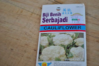 pinoyecofarm december _0129.JPG