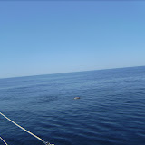 Menorca til Sardinien