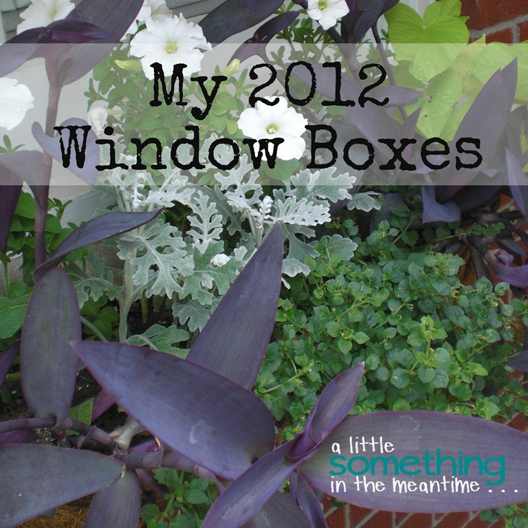 [2012%2520Window%2520Boxes%2520Square%2520Banner.jpg]