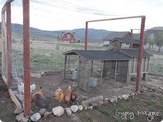 Chicken Run