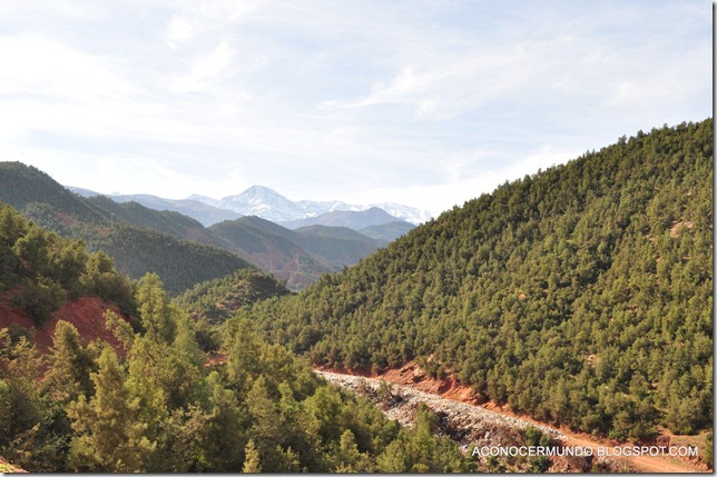 Excursión a Ourika. Camino. Paisaje del Atlas-DSC_0289