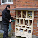 Insektenhotel Herr Röder 2.JPG