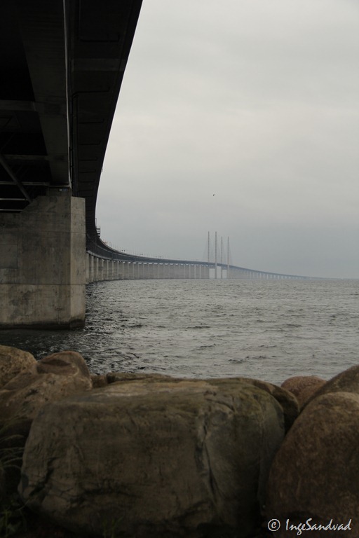 [IMG_1167%255B4%255D.jpg]