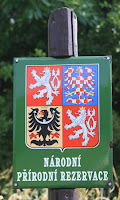 CZR1-11_LH_4119.JPG