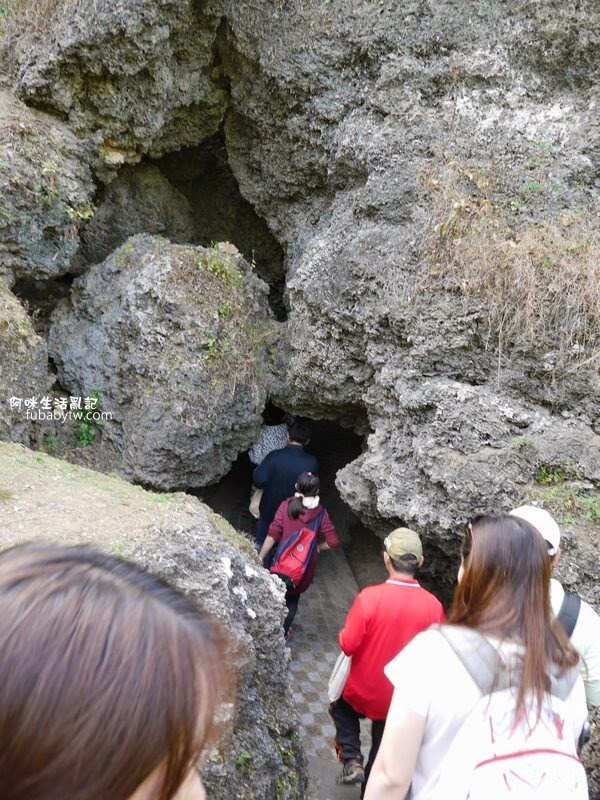 調整大小P1010006 調整大小P1010006