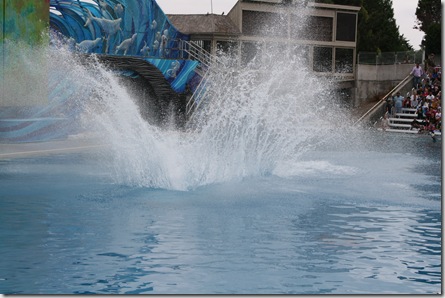 IMG_7457 IMG_7457
