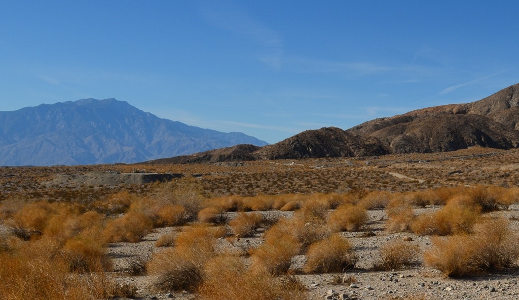 [desert%2520day_186%255B4%255D.jpg]