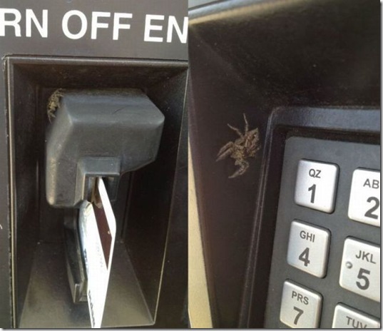 viral-picdump-pics-19