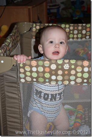 IMG_0756 IMG_0756