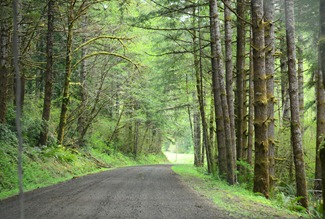 the road up to Deadwood Creek is narrow
