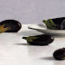 Object: 21322 - Kleine aubergines - 14 x 30 cm - € 895.=