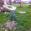 2014-04-12-plantas-sotosalbos2.jpg