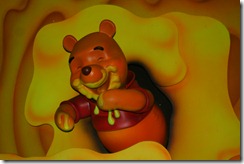IMG_6873 IMG_6873