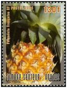 [image%255B369%255D.png]