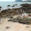 A New Battle On The Beach...  Cleaning Up Rena - Tauranga, New Zealand