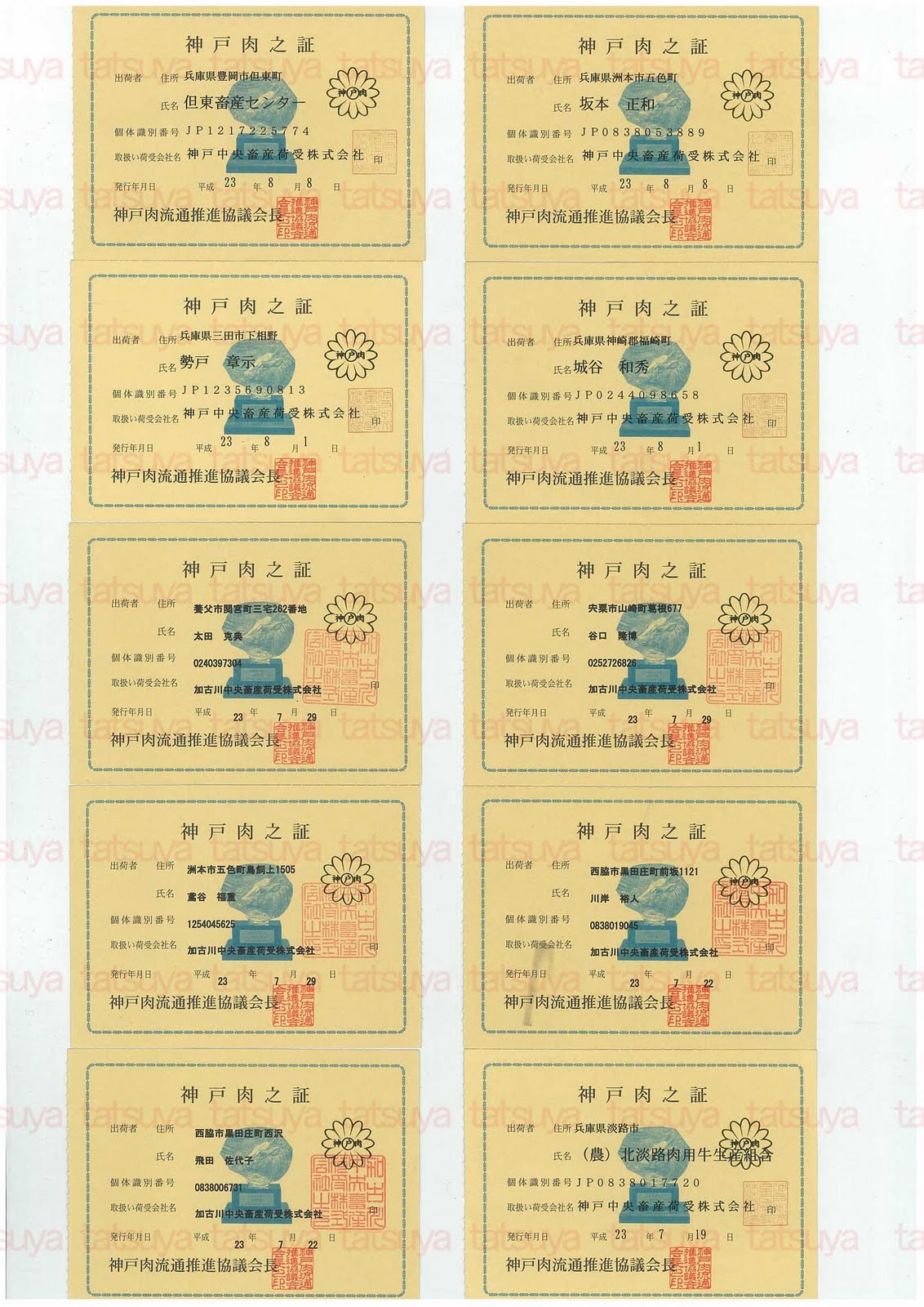 [LOT-11081701-%25231.jpg]